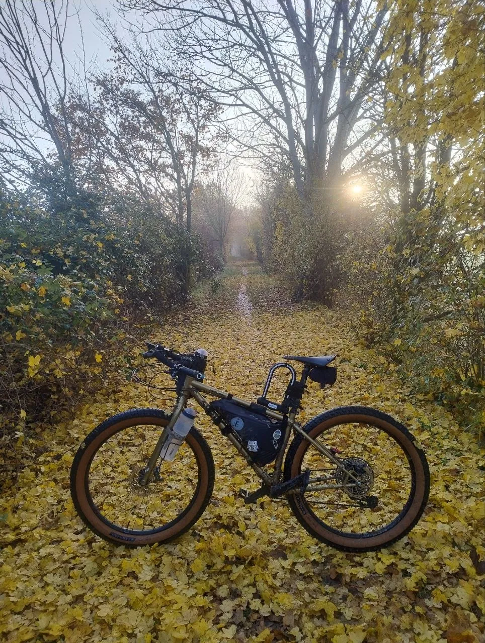 A self-built gravel bike resting on a path covered in yellow autumn leaves, with morning sun through bare trees
